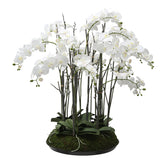 Composition d'Orchidée Artificielle avec mousse 113cm